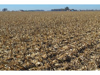 Tract 2 - FARMLAND AUCTION - 165.5+/- ACRES OFFERED IN 5 TRACTS OR COMBINATIONS IN EAST ALLEN COUNTY